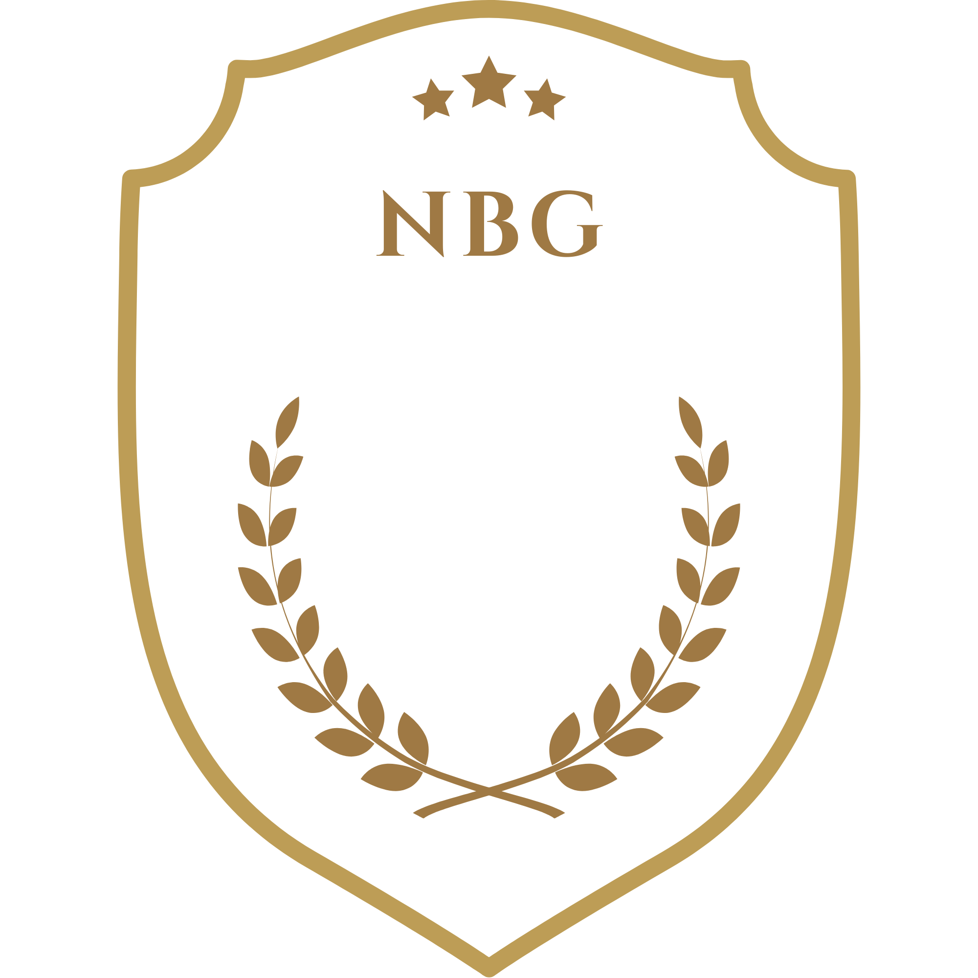 NBG University Logo